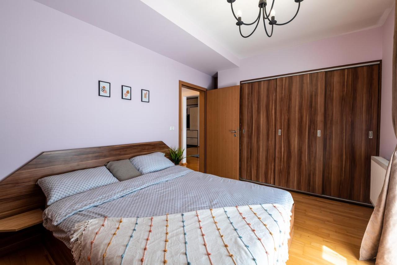 Business And Travel Lounge With Private Parking Apartment Timisoara Ngoại thất bức ảnh